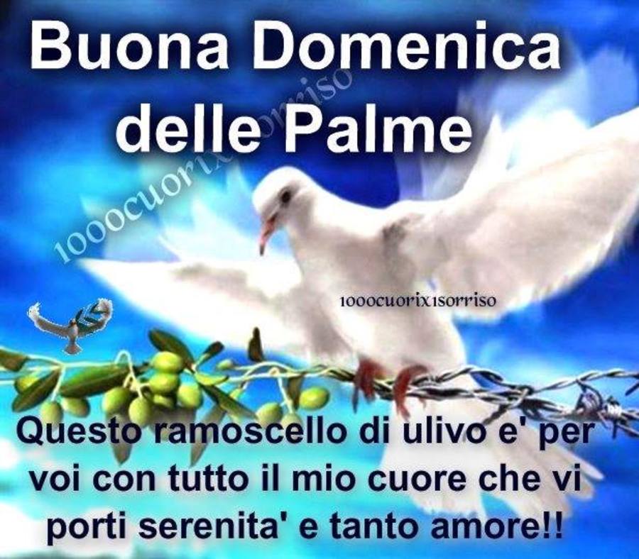 Immagini con frasi Buona Domenica delle Palme