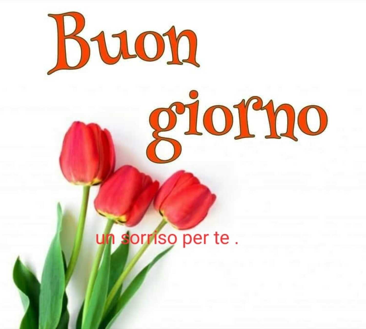 Cartoline gratis di buongiorno 3