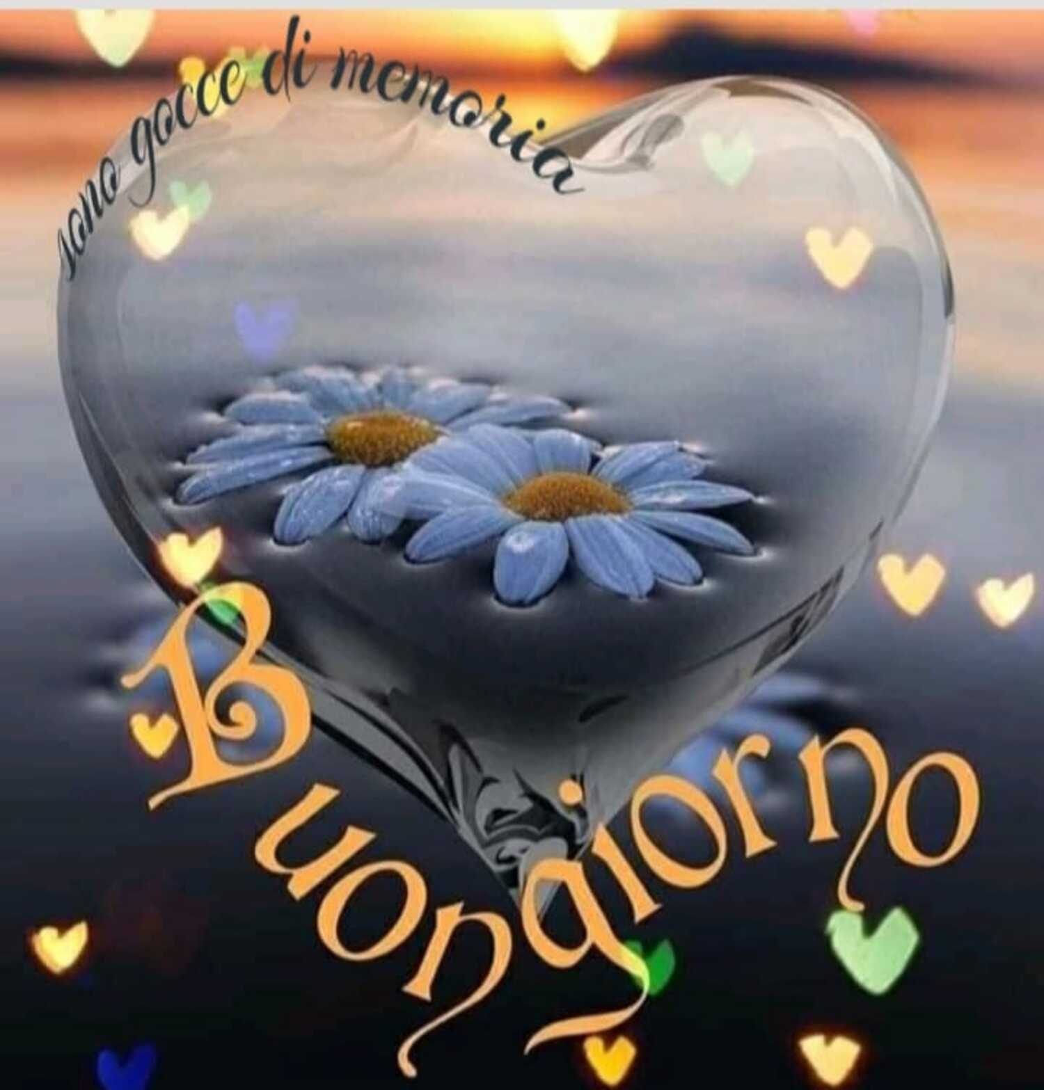 Nuove immagini per augurare buon giorno agli amici 3