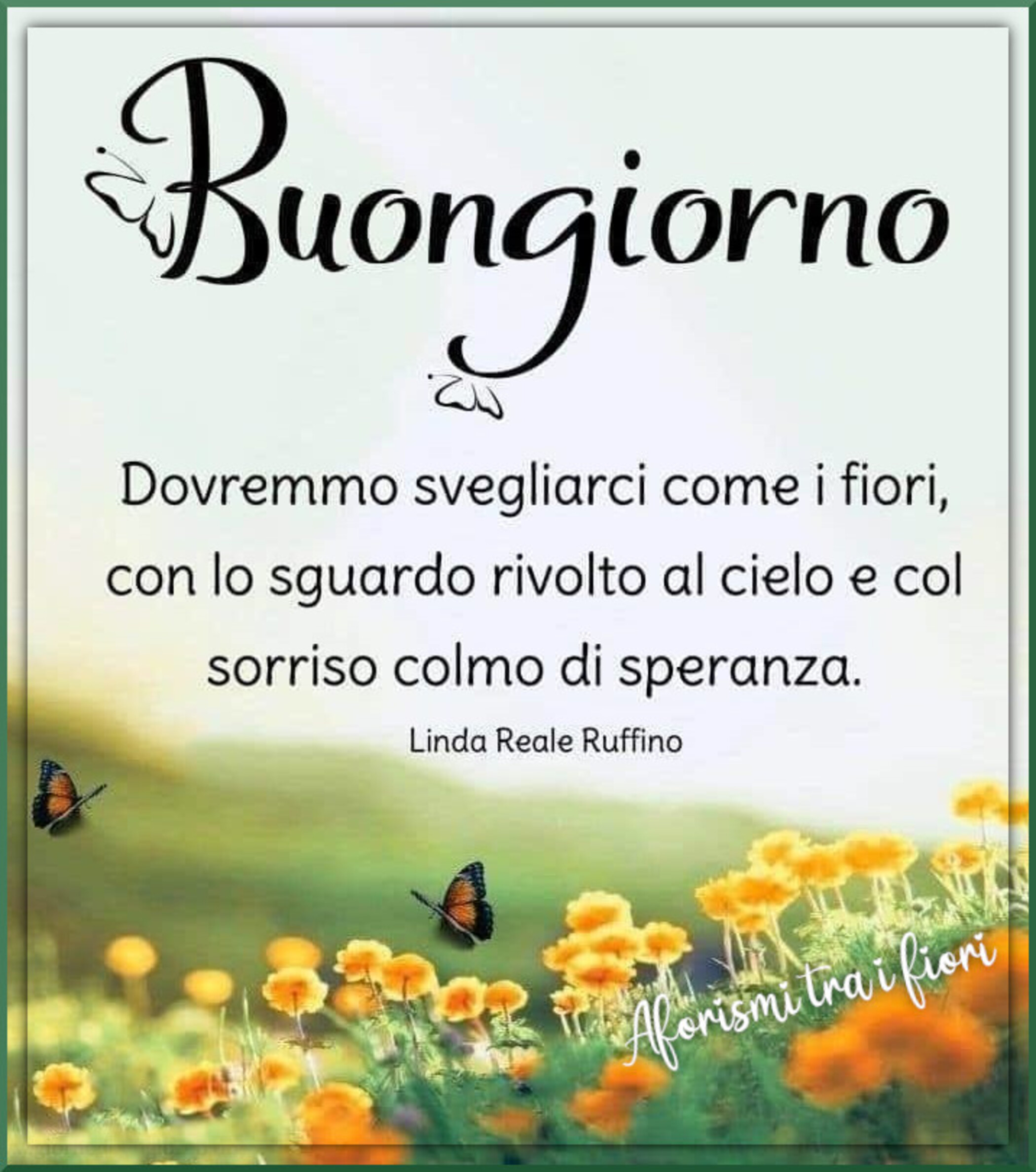 Nuovissime immagini di buongiorno e di buona giornata (2)
