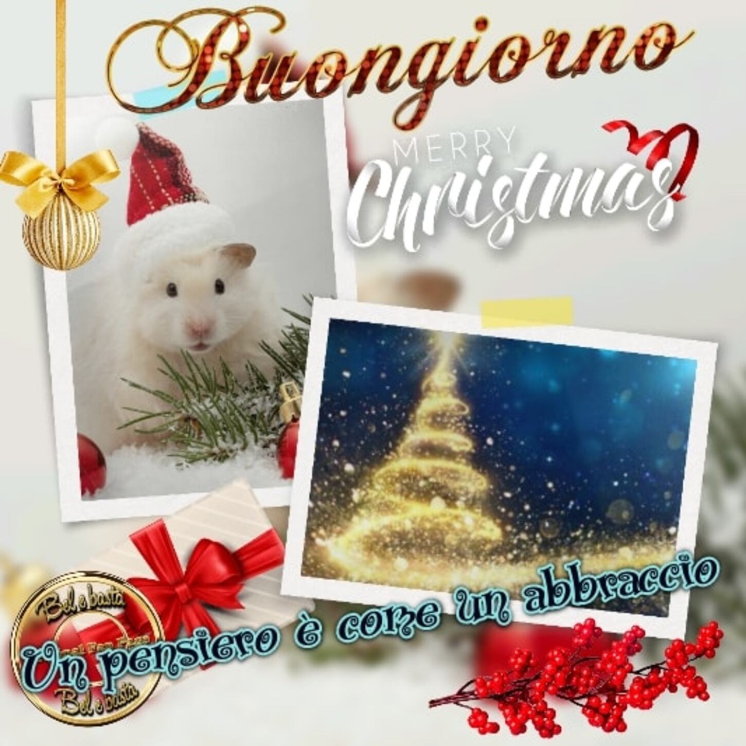 Buongiorno Merry Christmas un pensiero è come un abbraccio