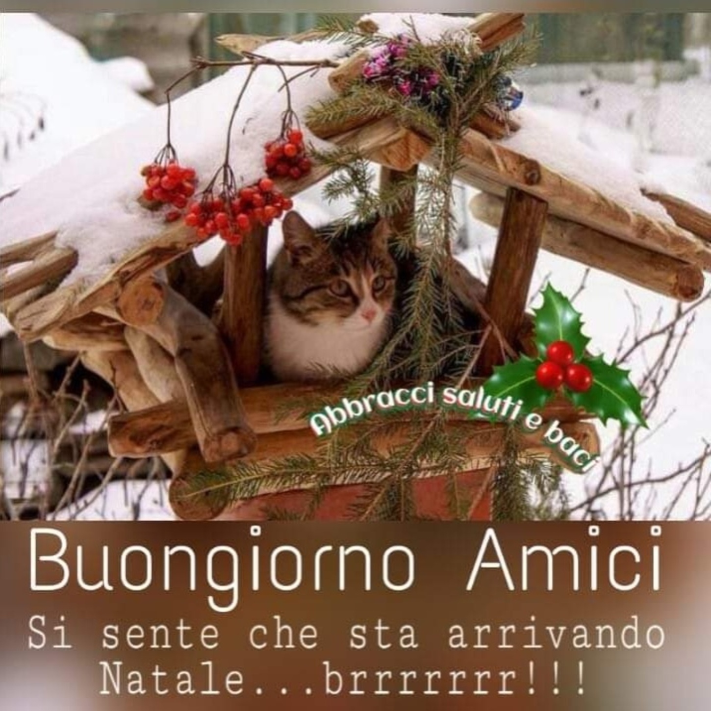 Buongiorno amici si sente che sta arrivando Natale brrr