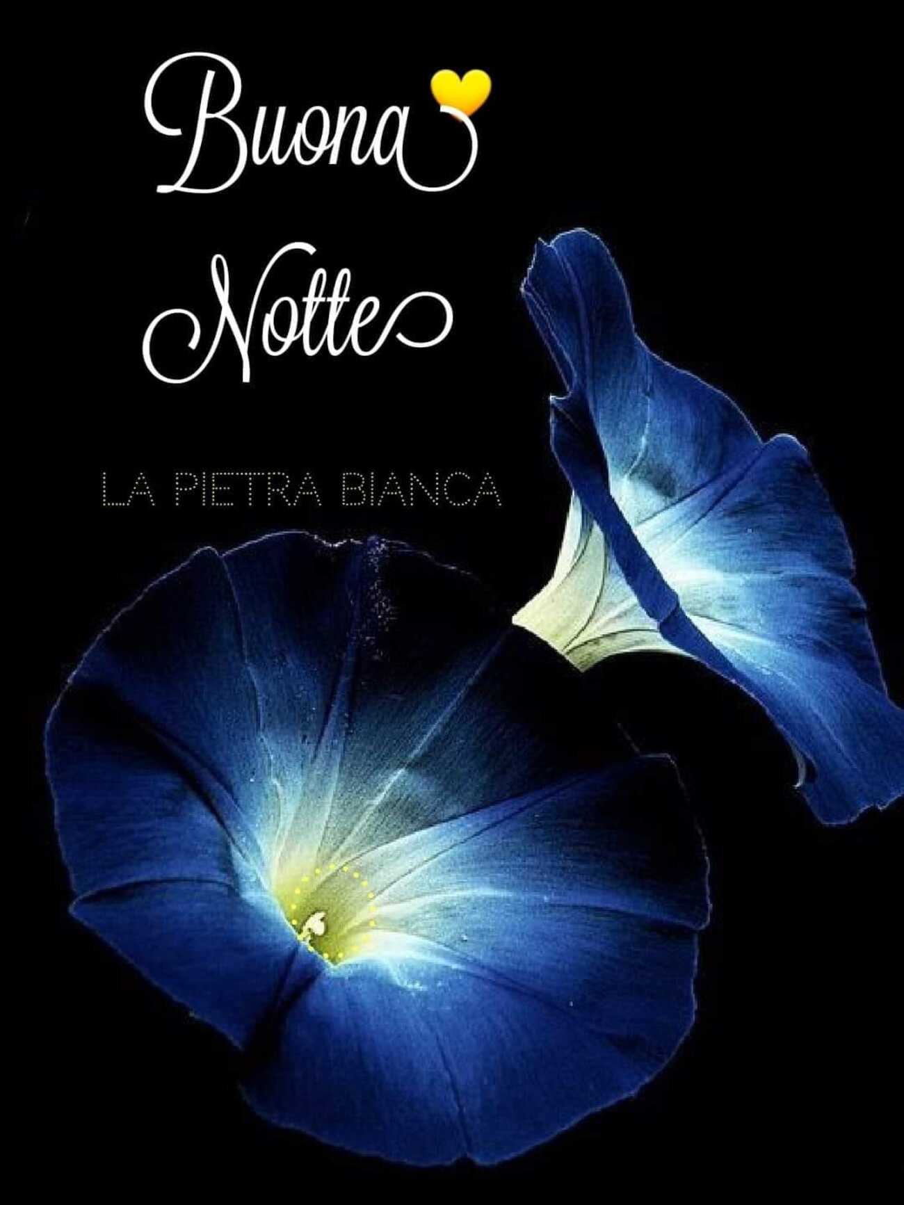 Buona notte con il cuore giallo dell’amicizia