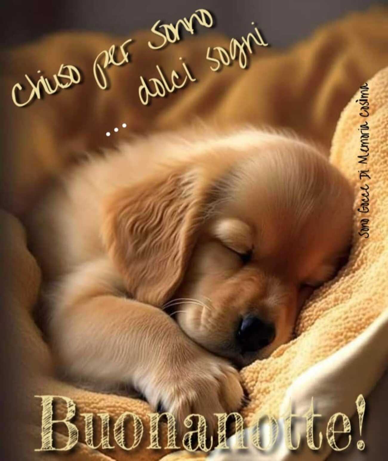 Chiuso per sonno dolci sogni buonanotte