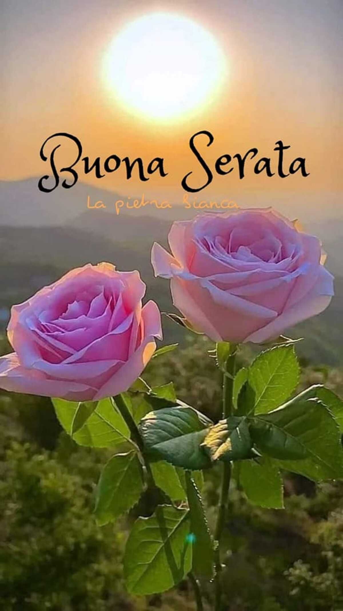 La Pietra Bianca Buona Serata