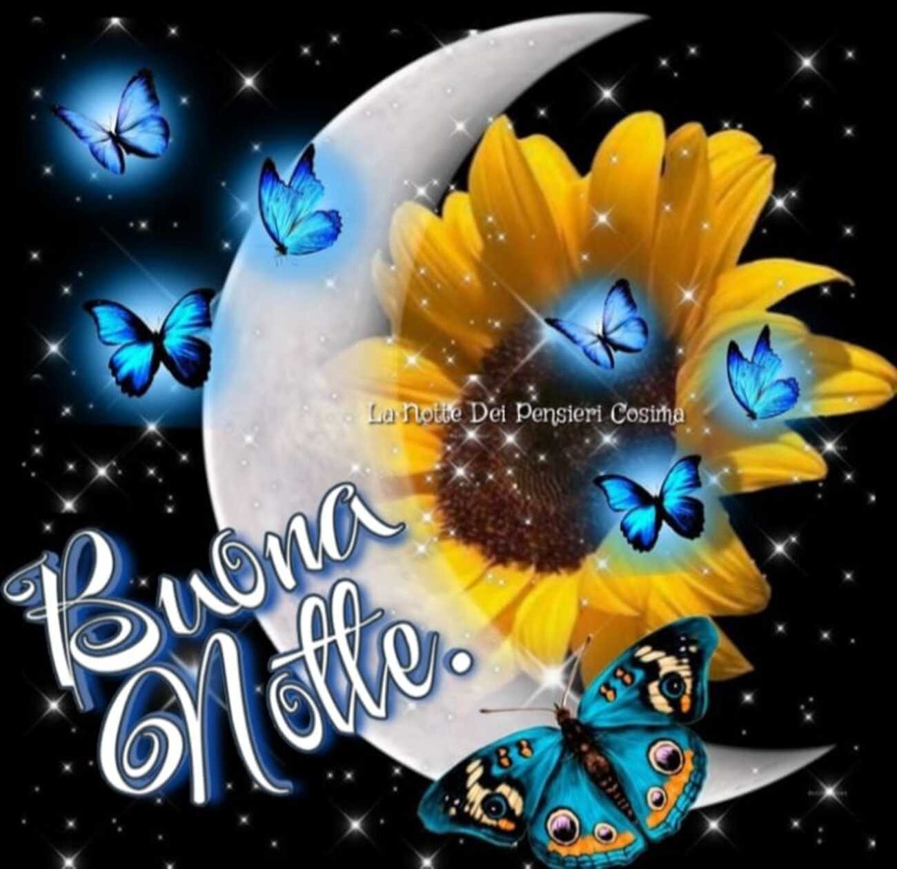 buona notte con le farfalle blu