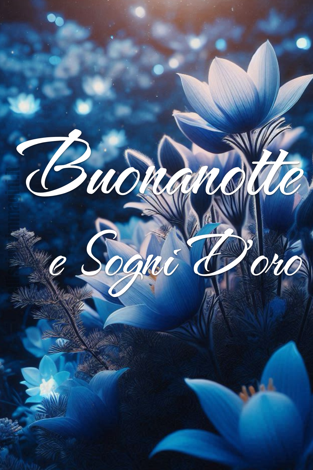 Buonanotte e Sogni D'oro