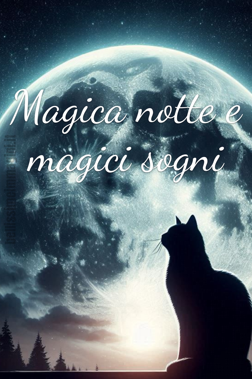 Magica notte e magici sogni